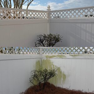 fence wash before and after