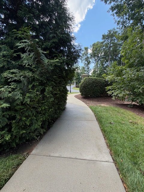 Finished sidewalk cleaning at Flowers Plantation